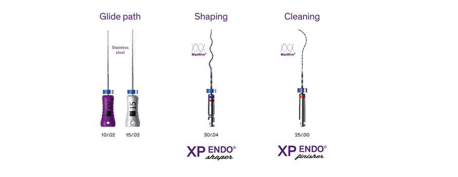 XP-endo® Solutions